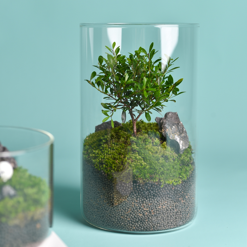 Microcosm Plant Pot